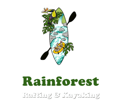 Rainforest